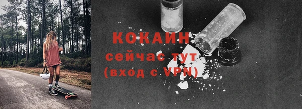 не бодяженный Гусев