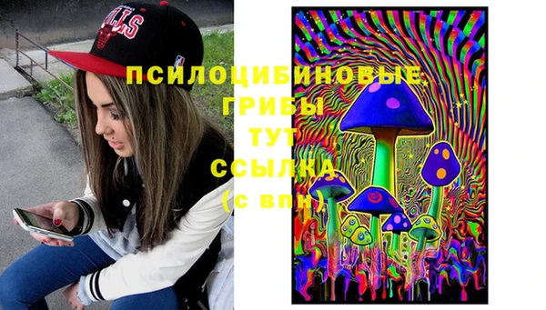 прущая мука Гусиноозёрск