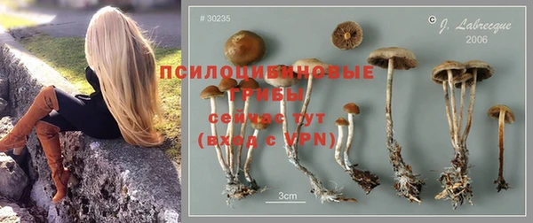 не бодяженный Гусев