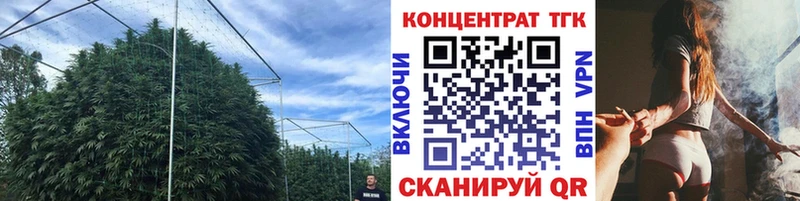 где можно купить   Саратов  ТГК вейп 