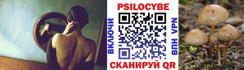 Галлюциногенные грибы Psilocybe цена наркотик маркетплейс какой сайт Саратов
